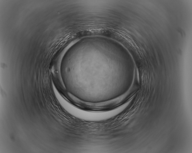 X0000090911298200708061515