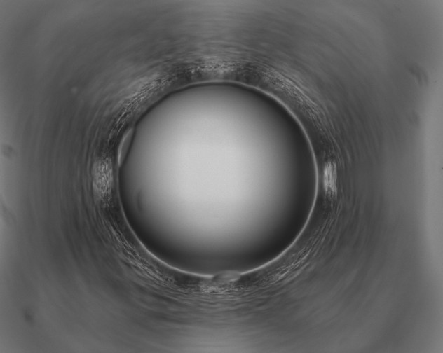 X0000090911299200708061515