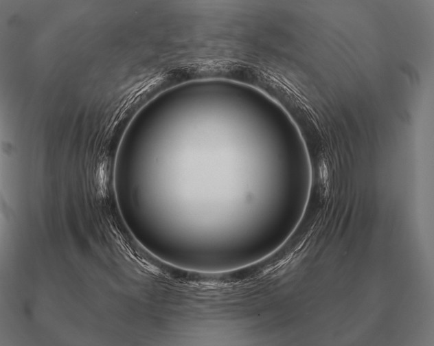 X0000090911300200708061515