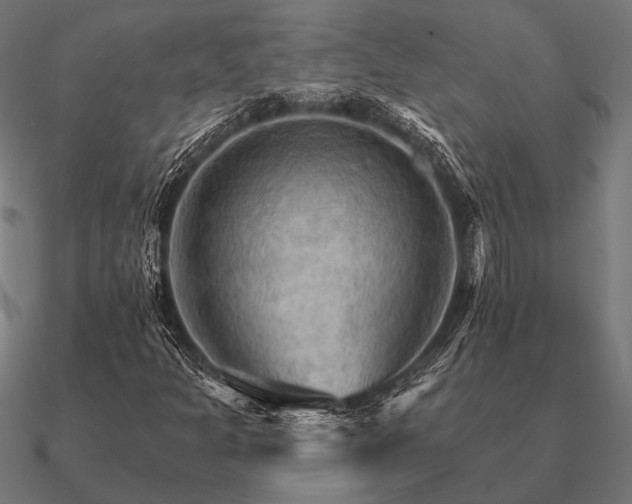 X0000090911301200708061515