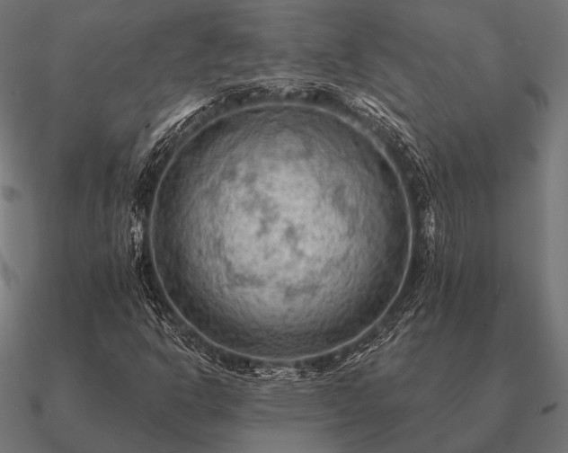 X0000090911302200708061515