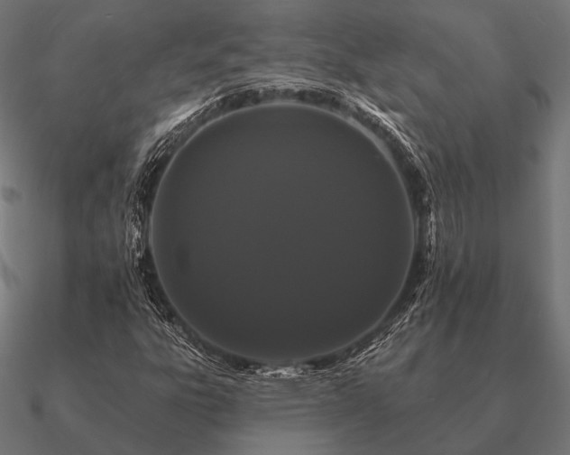 X0000090911303200708061515