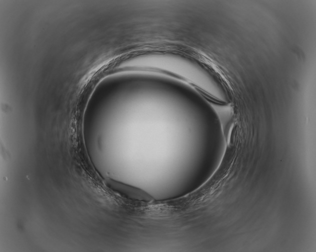 X0000090911304200708061515