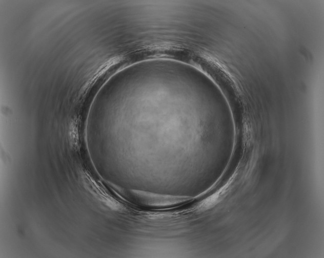 X0000090911305200708061515