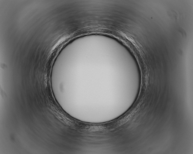 X0000090911306200708061515