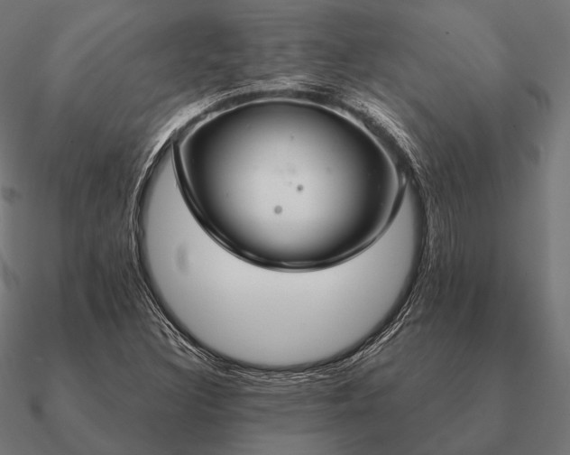 X0000090911308200708061515