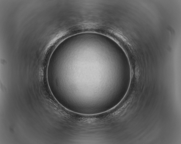 X0000090911309200708061515