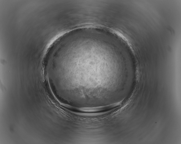 X0000090911310200708061515