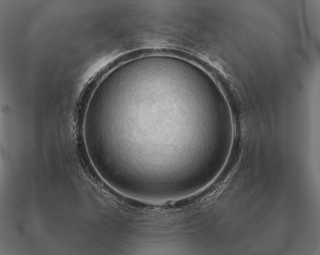 X0000090911311200708061515