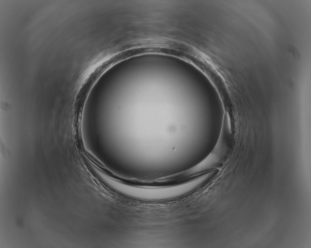 X0000090911312200708061515