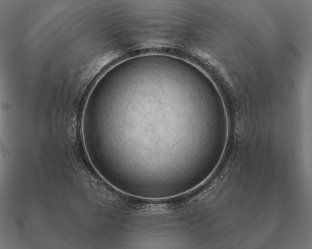 X0000090911313200708061515