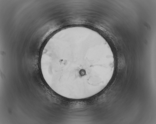 X0000090911314200708061515