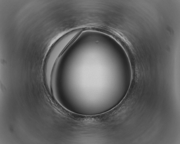 X0000090911316200708061515