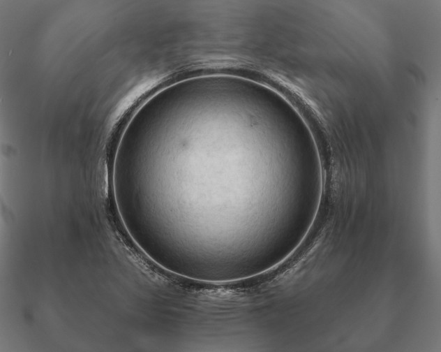 X0000090911317200708061515