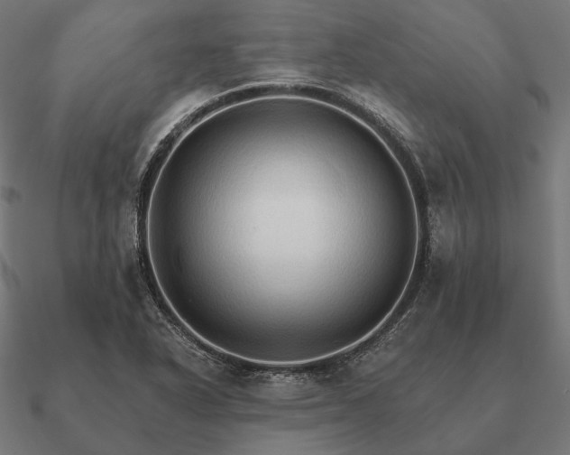 X0000090911318200708061515