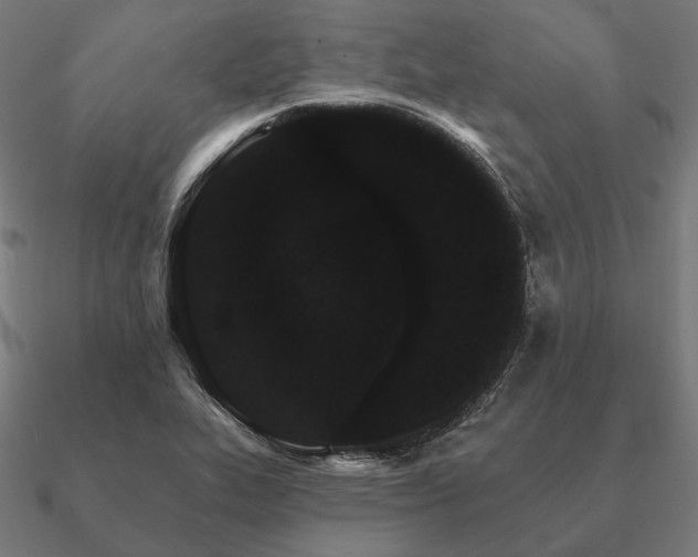 X0000090911319200708061515