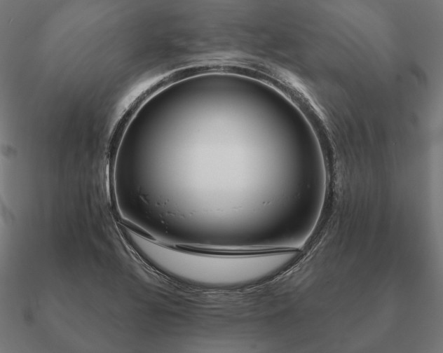 X0000090911320200708061515