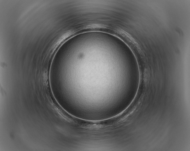 X0000090911321200708061515