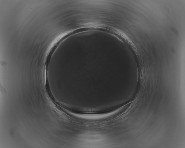 X0000090911323200708061515