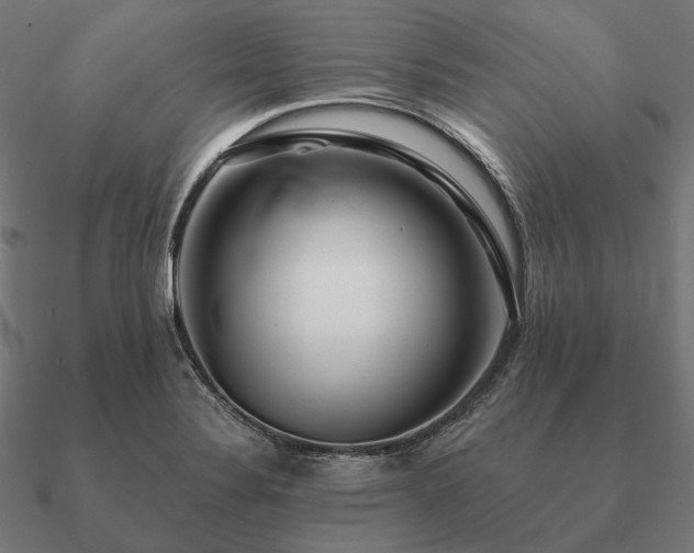 X0000090911324200708061515