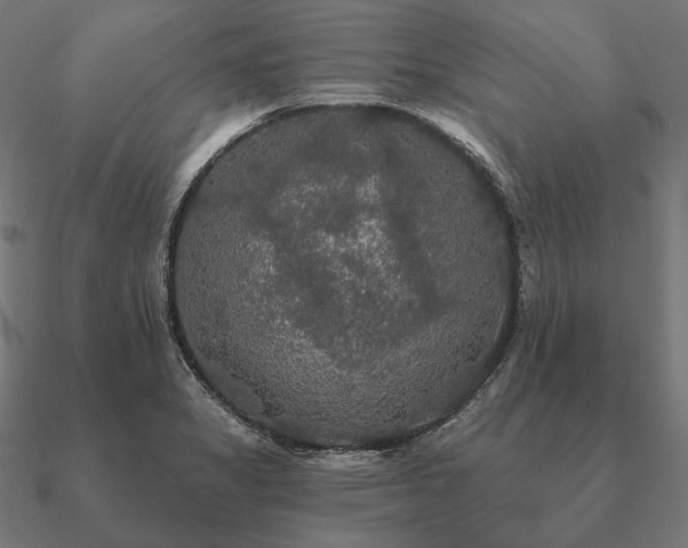 X0000090911325200708061515