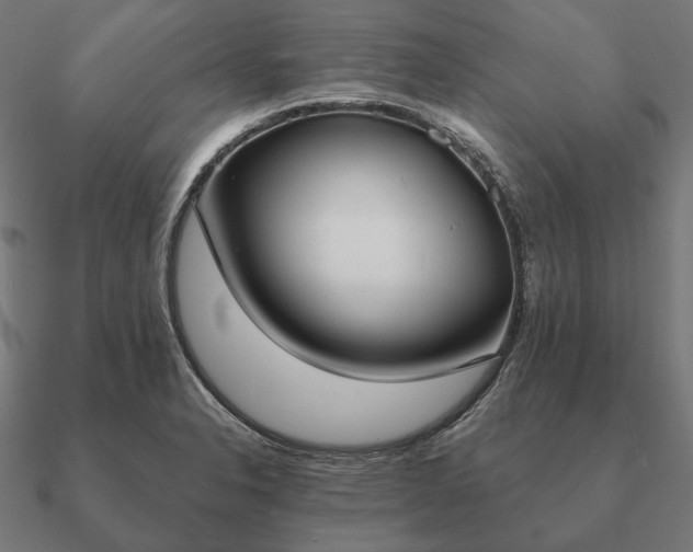 X0000090911326200708061515