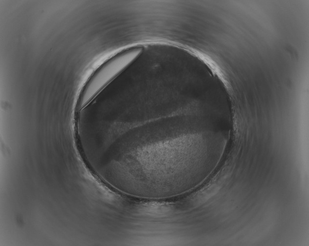 X0000090911327200708061515