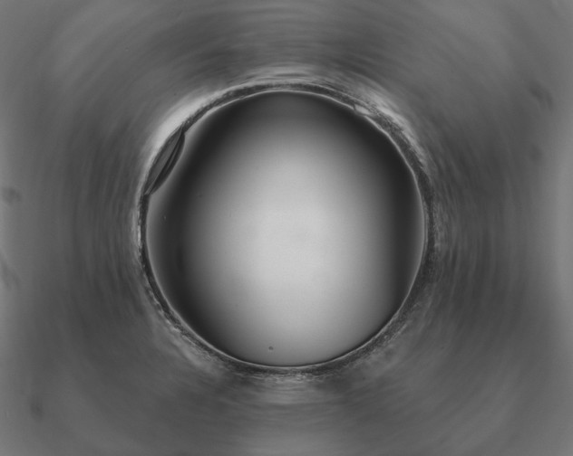 X0000090911328200708061515