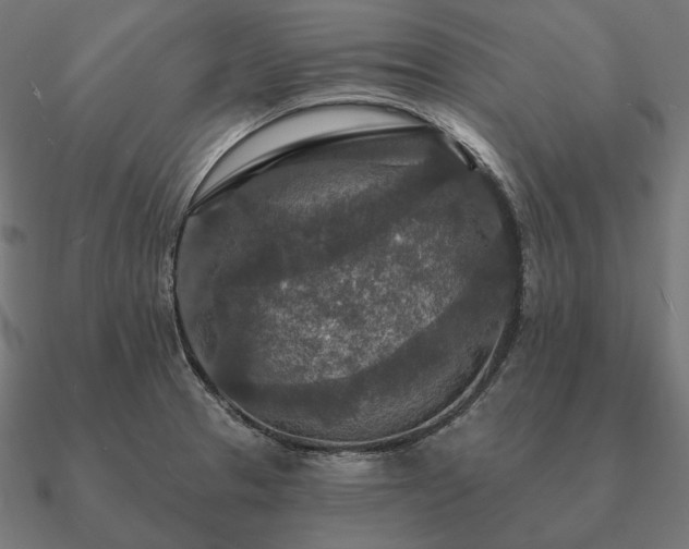 X0000090911329200708061515