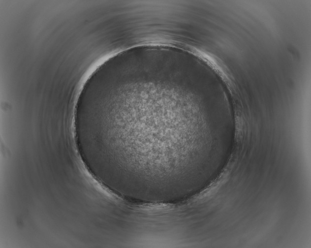 X0000090911331200708061515