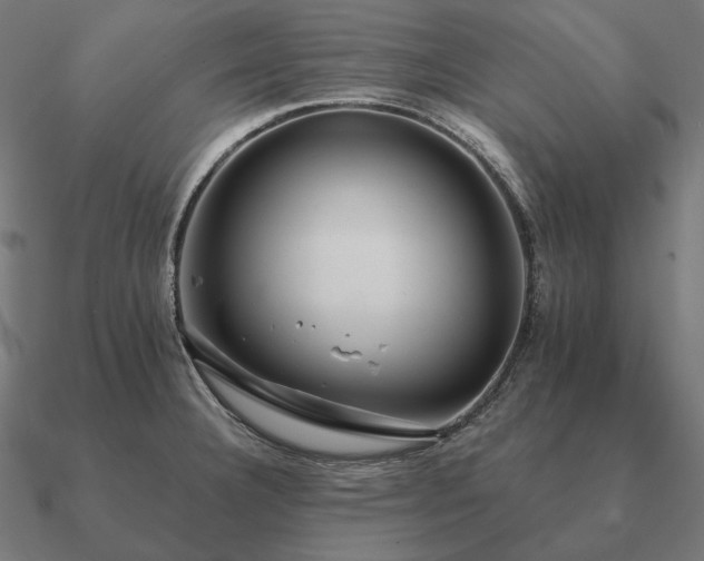 X0000090911332200708061515