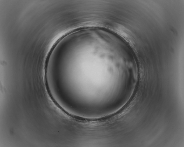 X0000090911334200708061515