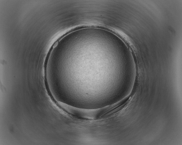 X0000090911335200708061515