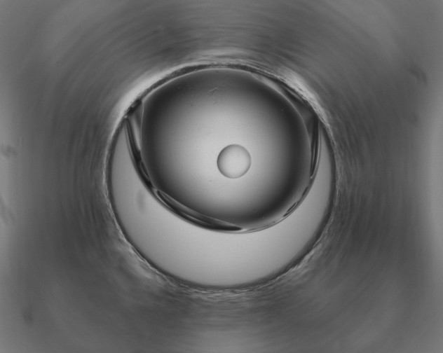 X0000090911336200708061515