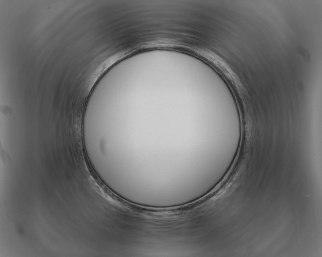 X0000090911337200708061515