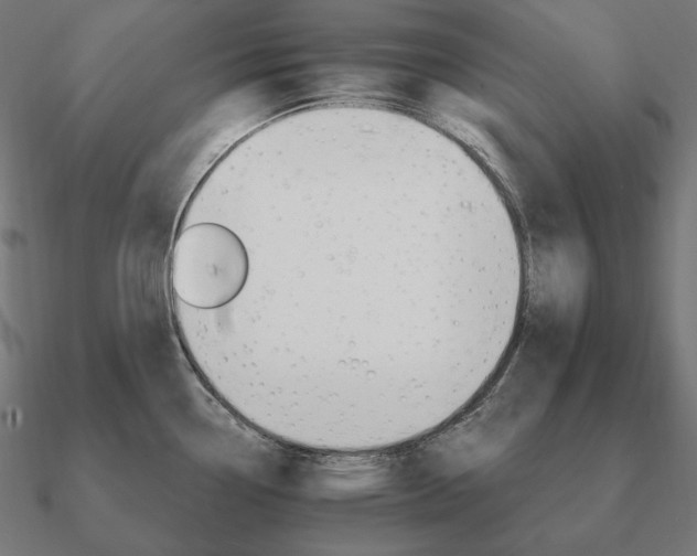 X0000090911338200708061515