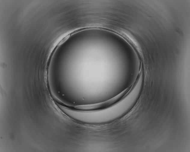 X0000090911340200708061515