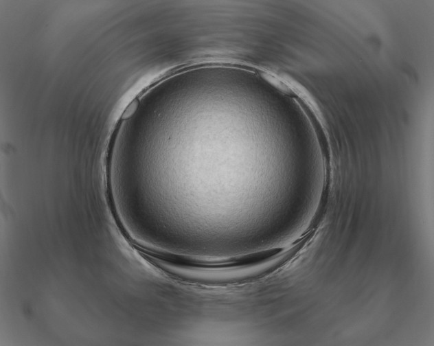 X0000090911341200708061515