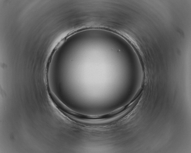 X0000090911342200708061515