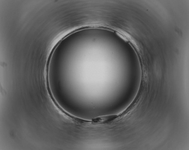 X0000090911343200708061515