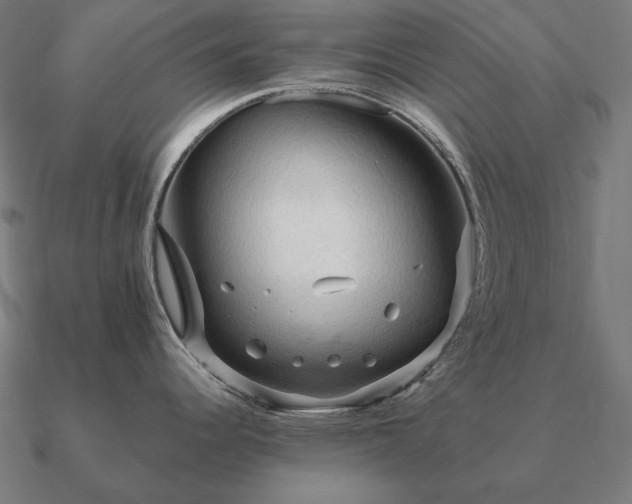 X0000090911344200708061515