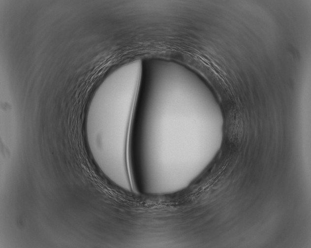 X0000090911345200708061515