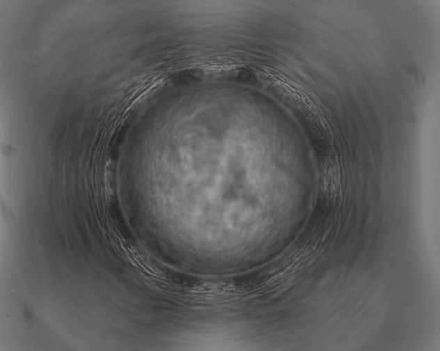 X0000090911346200708061515