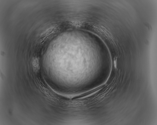 X0000090911347200708061515