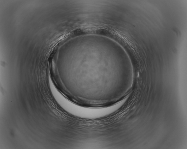 X0000090911348200708061515