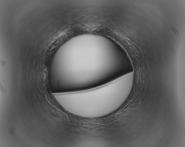 X0000090911349200708061515