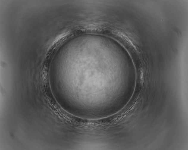 X0000090911350200708061515