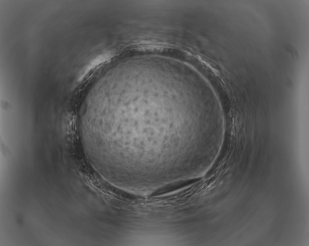 X0000090911351200708061515