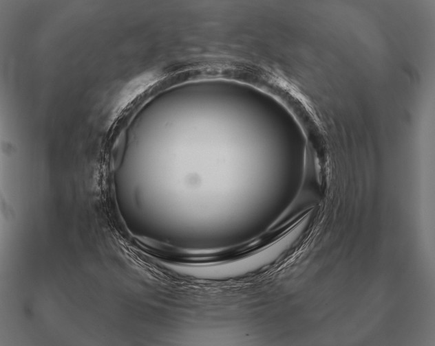 X0000090911352200708061515