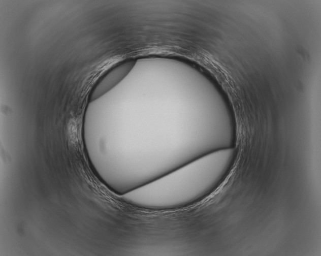 X0000090911353200708061515